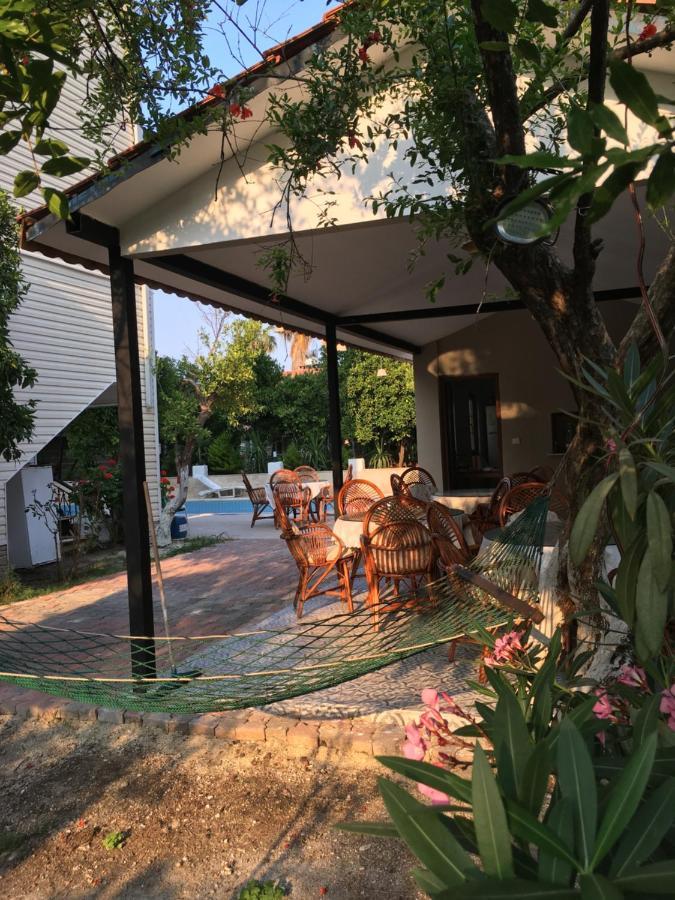 Felicity Hotel & Bungalows 凯梅尔 外观 照片