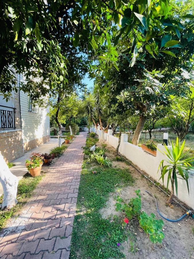 Felicity Hotel & Bungalows 凯梅尔 外观 照片