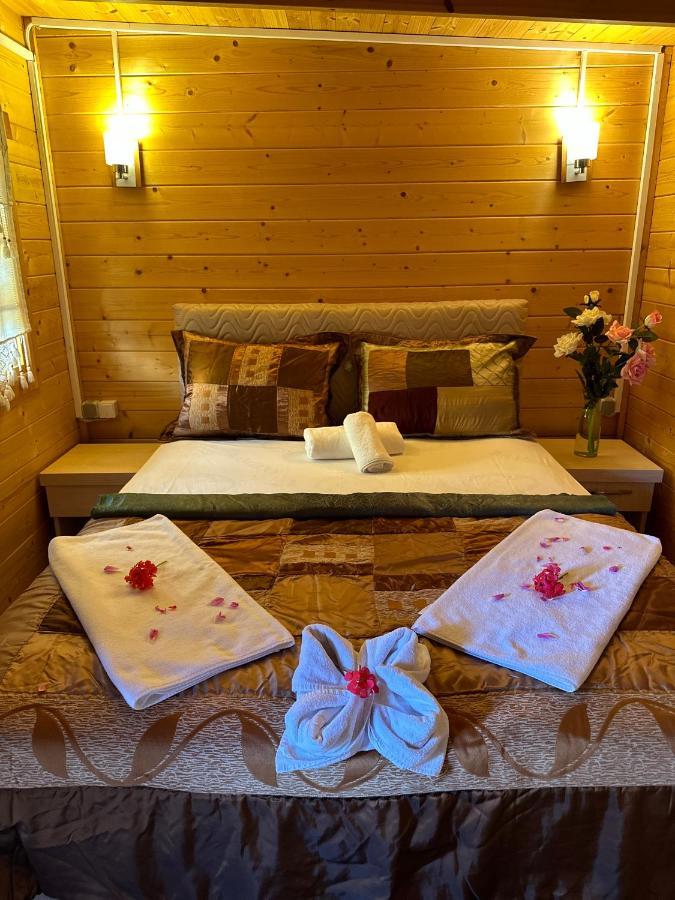 Felicity Hotel & Bungalows 凯梅尔 外观 照片