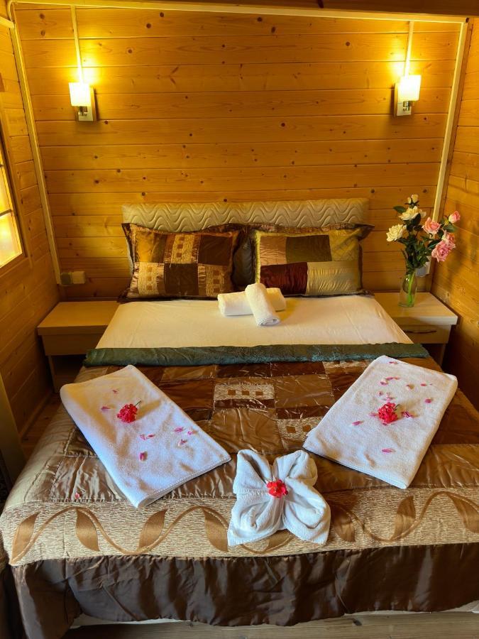 Felicity Hotel & Bungalows 凯梅尔 外观 照片